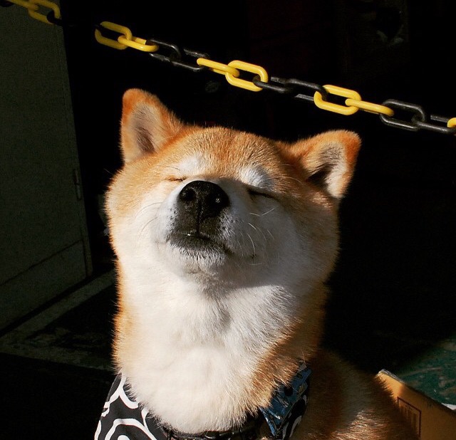 C罗称保持进取是职业生涯最大武器，c罗领衔