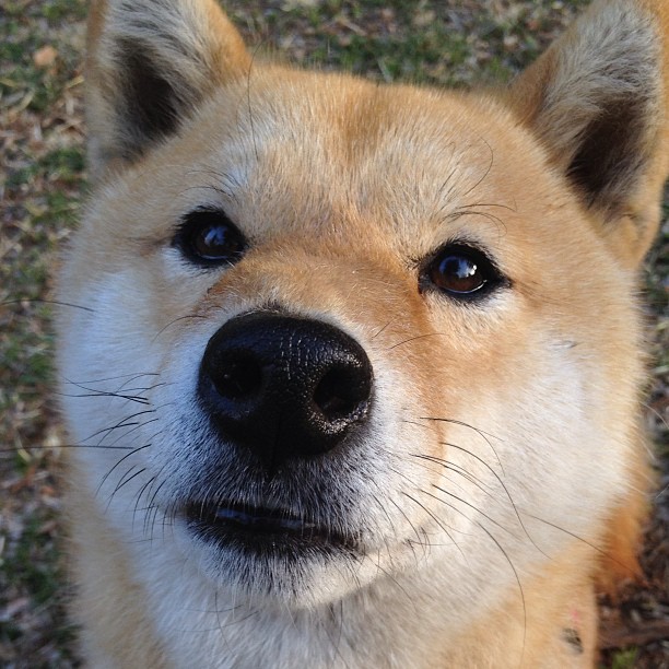 世界杯精彩纷呈:每一刻都令人心跳加速!,世界杯片段