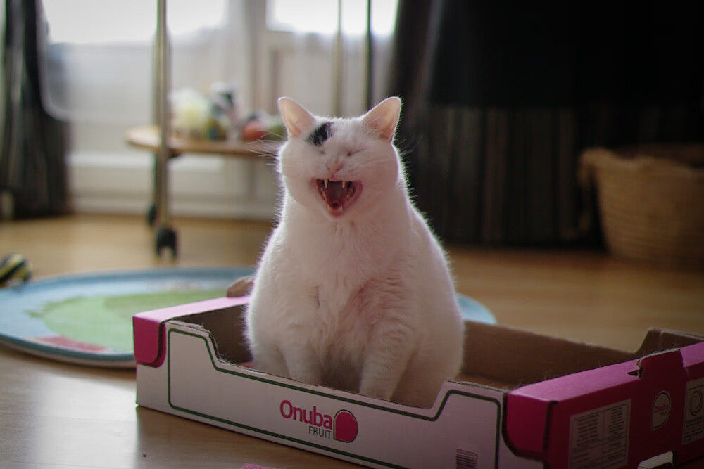 中国足球青少年足球赛事覆盖面持续扩大,中国足球青少年足球赛事覆盖面持续扩大的原因