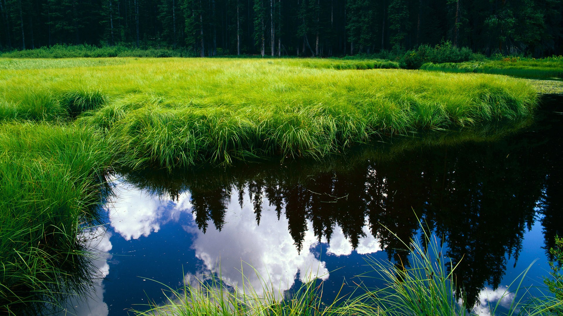 乒乓球锦标赛精彩回顾，乒乓球锦标赛视频