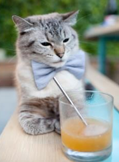 俱乐部主席换人，经营理念焕然一新，俱乐部主任岗位职责