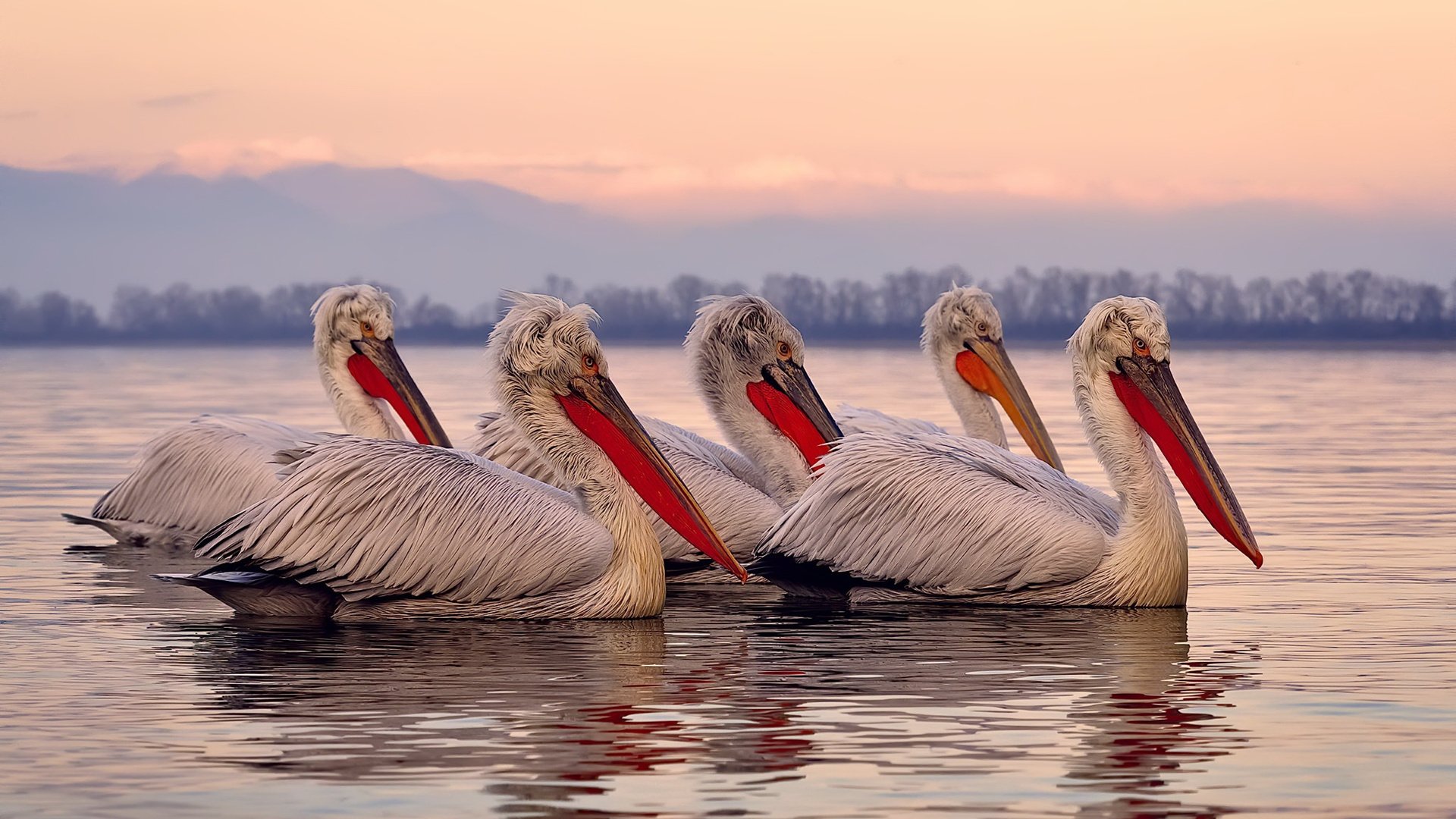 国家队战术演练注重多元化进攻提升比赛适应能力