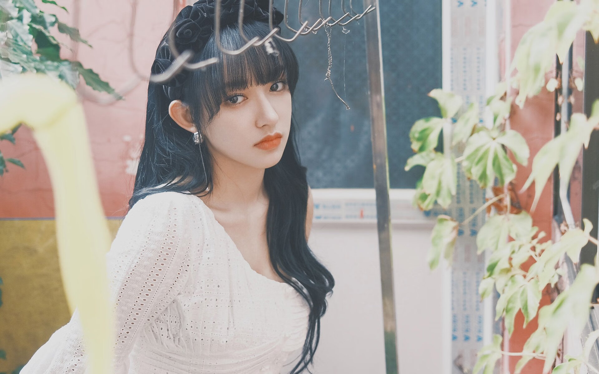 托里·哈斯克女子100米自由泳赛场新星