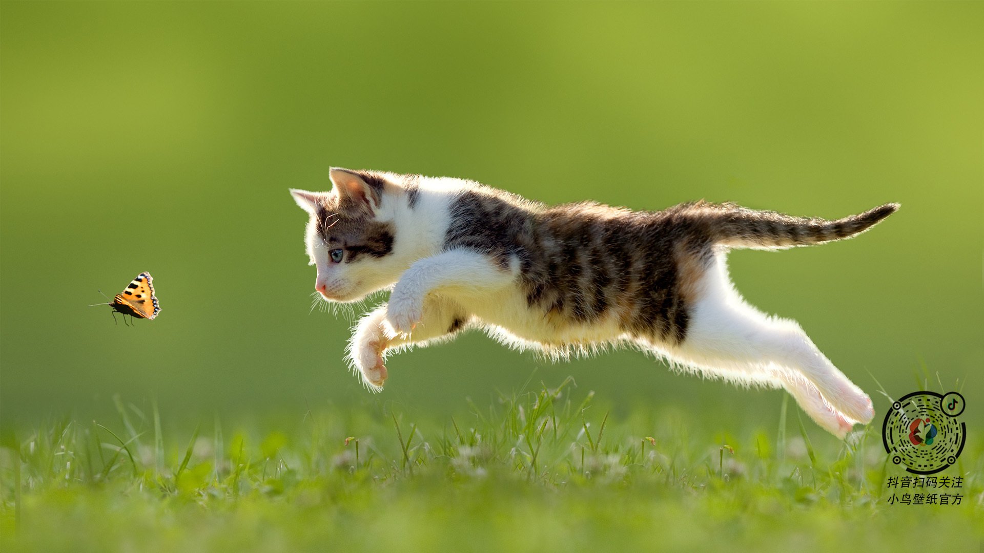 法甲火力全开：攻守转换的艺术盛宴，法甲推荐