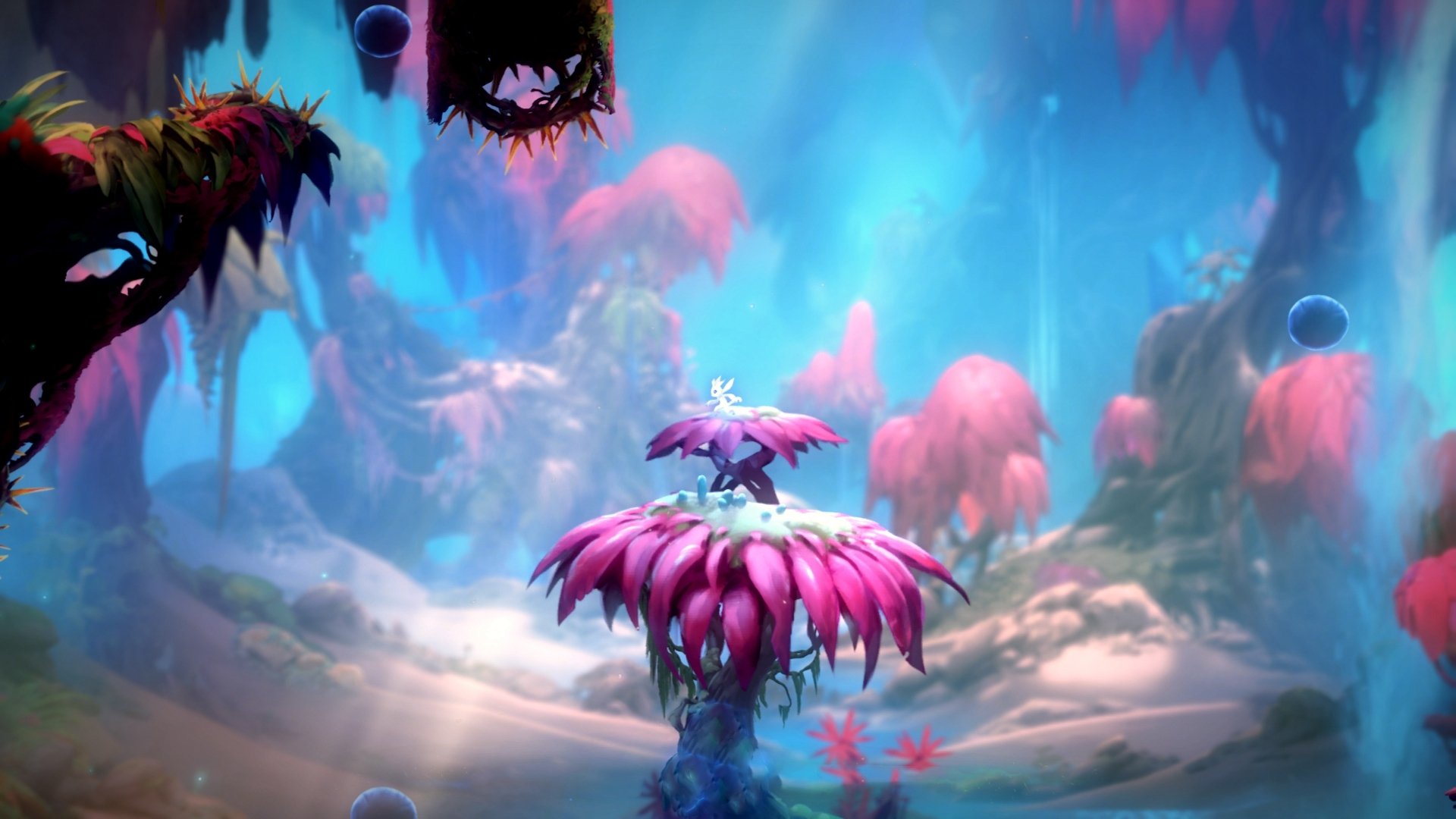 混合泳个人赛摩纳哥选手全面挑战